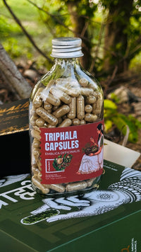 TRIPHALA CAPSULES – TIMELESS AYURVEDIC BLEND